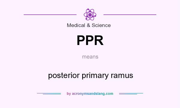 What does PPR mean? It stands for posterior primary ramus
