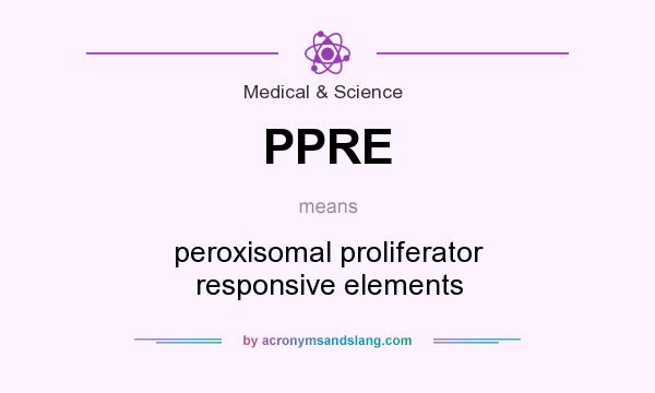 What does PPRE mean? It stands for peroxisomal proliferator responsive elements