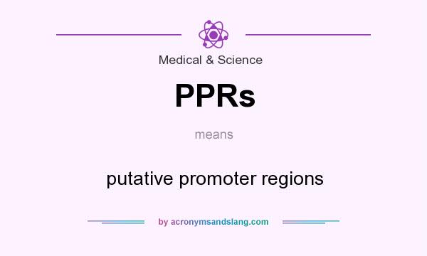 What does PPRs mean? It stands for putative promoter regions