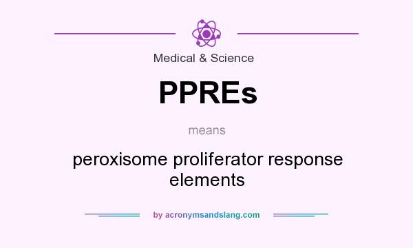 What does PPREs mean? It stands for peroxisome proliferator response elements