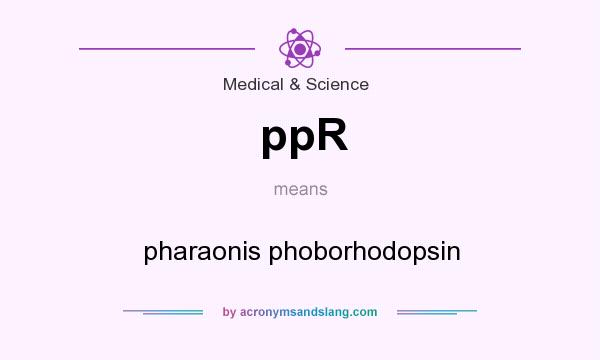What does ppR mean? It stands for pharaonis phoborhodopsin