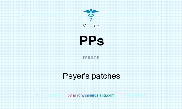What does PPs mean? It stands for Peyer`s patches