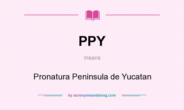 What does PPY mean? It stands for Pronatura Peninsula de Yucatan