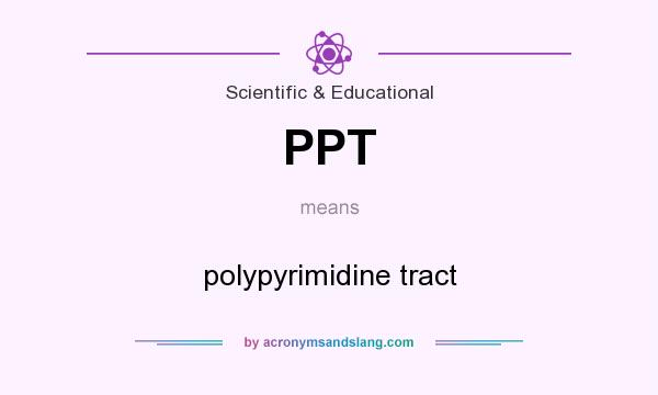 What does PPT mean? It stands for polypyrimidine tract