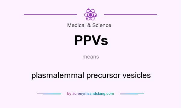 What does PPVs mean? It stands for plasmalemmal precursor vesicles
