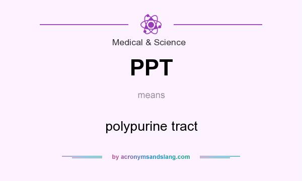 What does PPT mean? It stands for polypurine tract