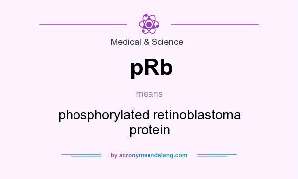 What does pRb mean? It stands for phosphorylated retinoblastoma protein