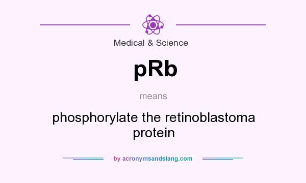 What does pRb mean? It stands for phosphorylate the retinoblastoma protein
