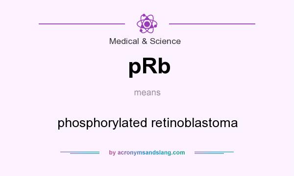 What does pRb mean? It stands for phosphorylated retinoblastoma