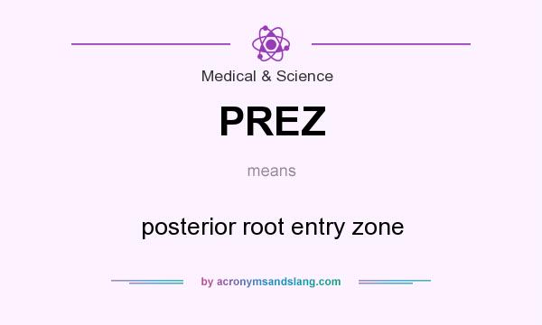 What does PREZ mean? It stands for posterior root entry zone