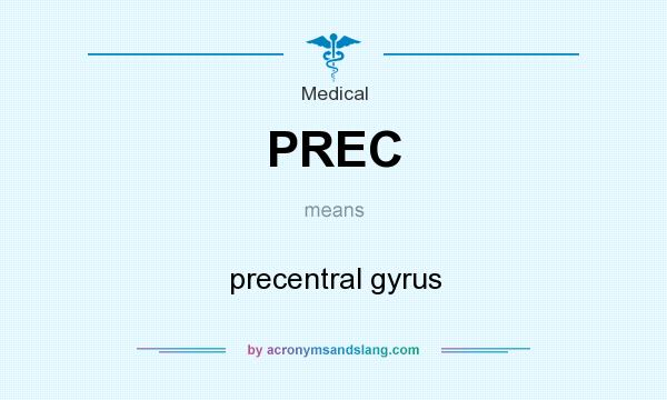 What does PREC mean? It stands for precentral gyrus
