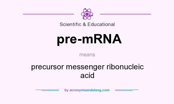 What does pre-mRNA mean? It stands for precursor messenger ribonucleic acid