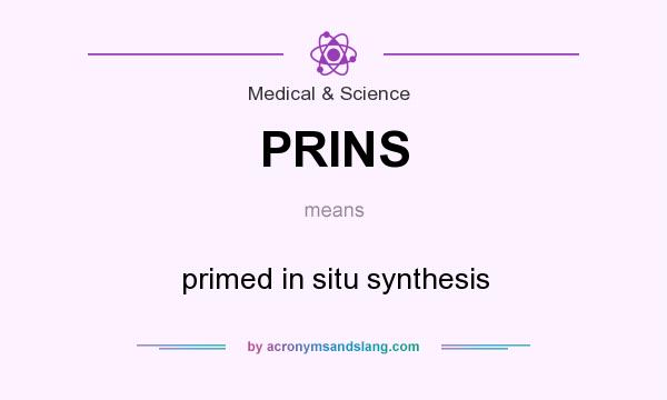 What does PRINS mean? It stands for primed in situ synthesis