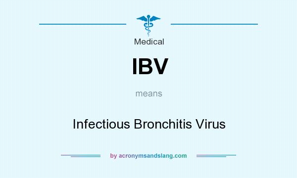 What does IBV mean? It stands for Infectious Bronchitis Virus