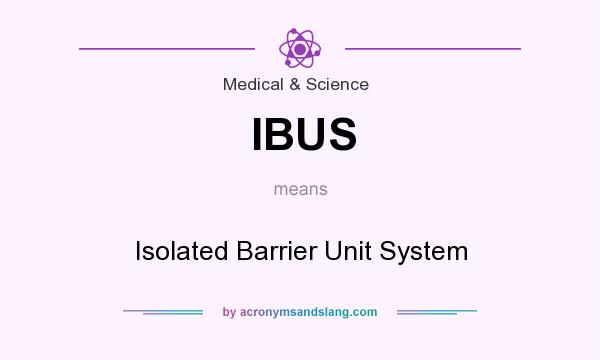 What does IBUS mean? It stands for Isolated Barrier Unit System