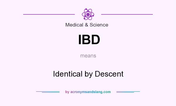 What does IBD mean? It stands for Identical by Descent