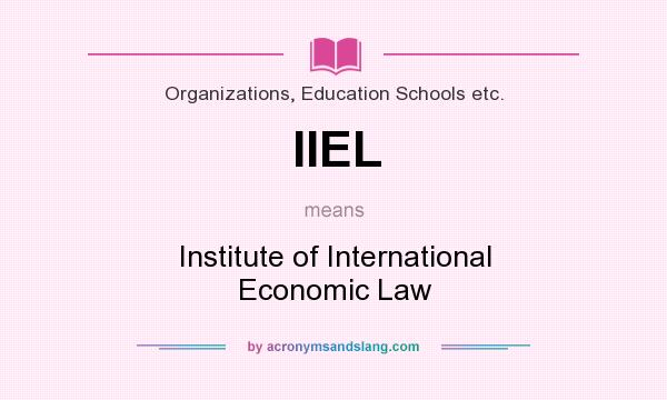 What does IIEL mean? It stands for Institute of International Economic Law