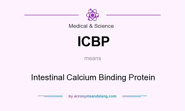 What does ICBP mean? It stands for Intestinal Calcium Binding Protein