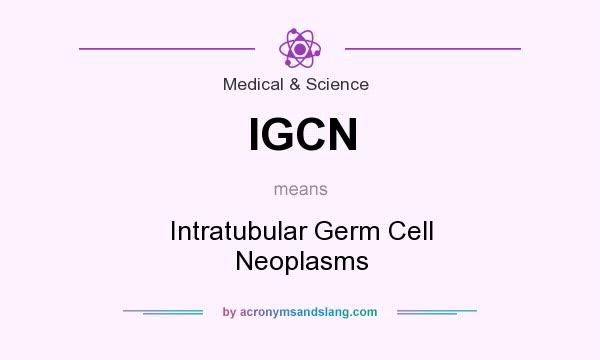 What does IGCN mean? It stands for Intratubular Germ Cell Neoplasms