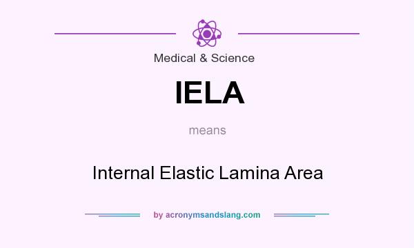 What does IELA mean? It stands for Internal Elastic Lamina Area