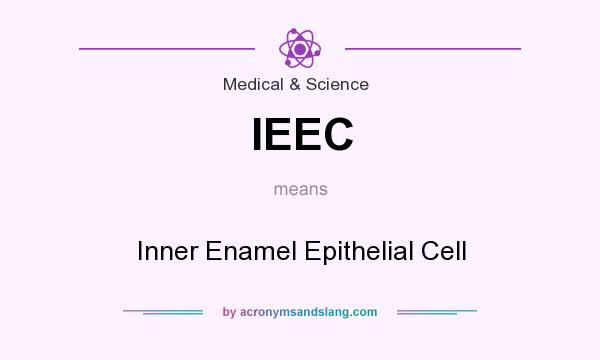 What does IEEC mean? It stands for Inner Enamel Epithelial Cell