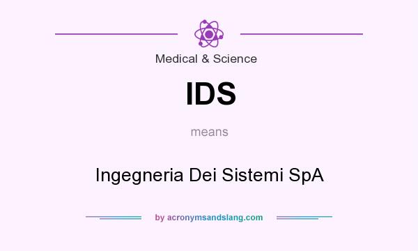 What does IDS mean? It stands for Ingegneria Dei Sistemi SpA