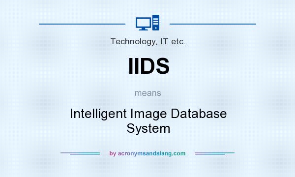 What does IIDS mean? It stands for Intelligent Image Database System