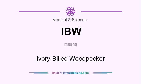 What does IBW mean? It stands for Ivory-Billed Woodpecker