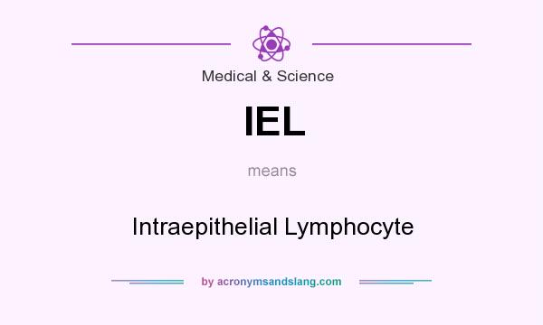 What does IEL mean? It stands for Intraepithelial Lymphocyte