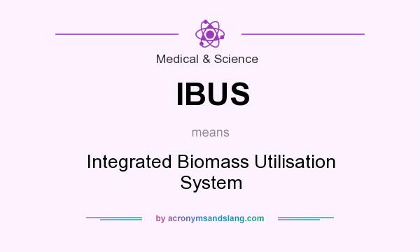 What does IBUS mean? It stands for Integrated Biomass Utilisation System