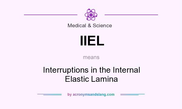 What does IIEL mean? It stands for Interruptions in the Internal Elastic Lamina