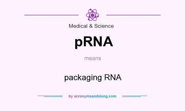 What does pRNA mean? It stands for packaging RNA