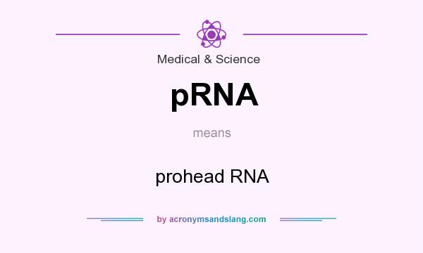 What does pRNA mean? It stands for prohead RNA
