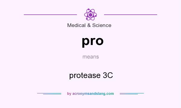 What does pro mean? It stands for protease 3C
