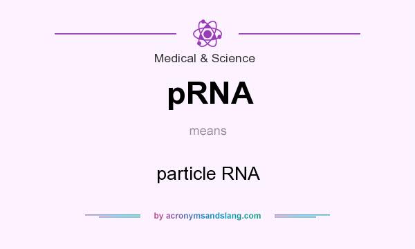 What does pRNA mean? It stands for particle RNA