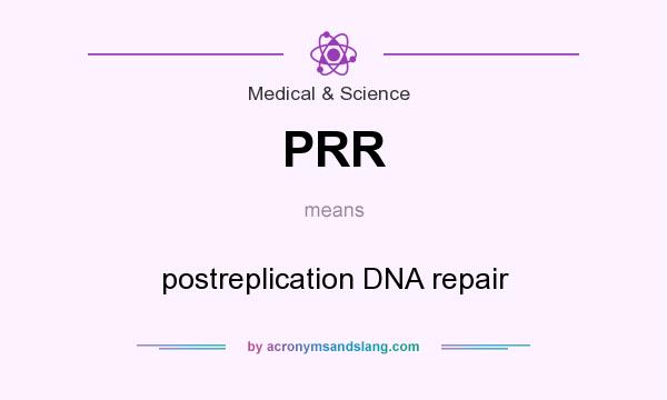What does PRR mean? It stands for postreplication DNA repair