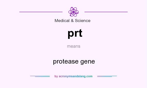 What does prt mean? It stands for protease gene