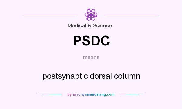 What does PSDC mean? It stands for postsynaptic dorsal column