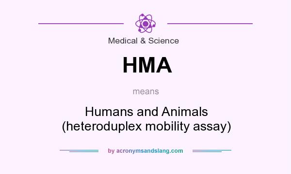 What does HMA mean? It stands for Humans and Animals (heteroduplex mobility assay)
