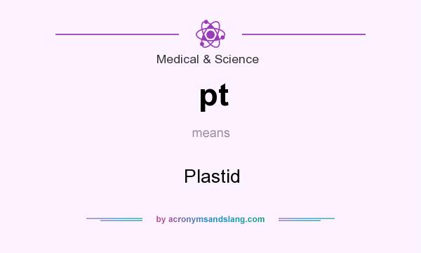 What does pt mean? It stands for Plastid