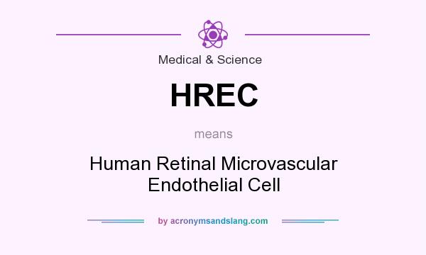 What does HREC mean? It stands for Human Retinal Microvascular Endothelial Cell