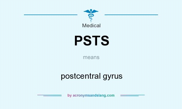 What does PSTS mean? It stands for postcentral gyrus