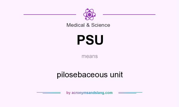What does PSU mean? It stands for pilosebaceous unit