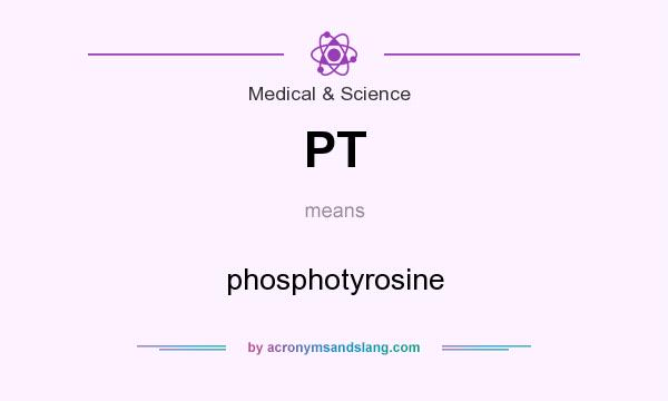 What does PT mean? It stands for phosphotyrosine