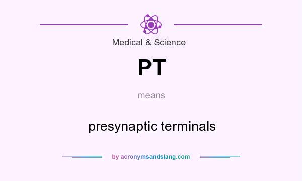 What does PT mean? It stands for presynaptic terminals