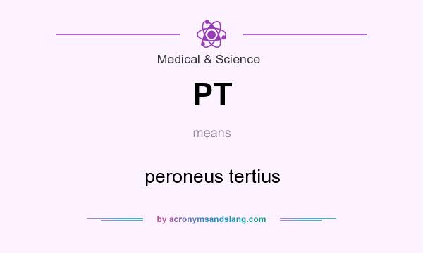 What does PT mean? It stands for peroneus tertius