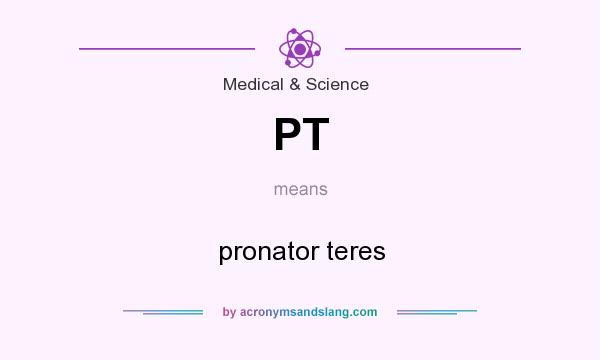 What does PT mean? It stands for pronator teres