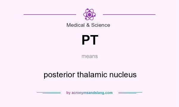 What does PT mean? It stands for posterior thalamic nucleus