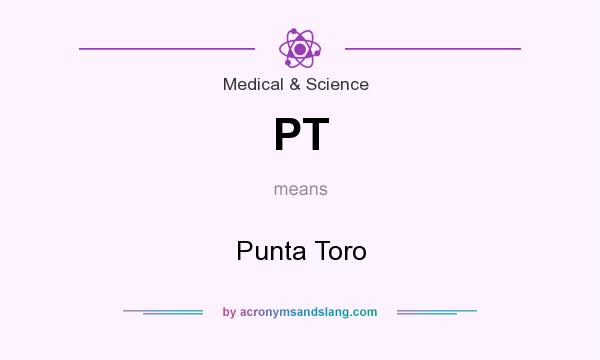 What does PT mean? It stands for Punta Toro