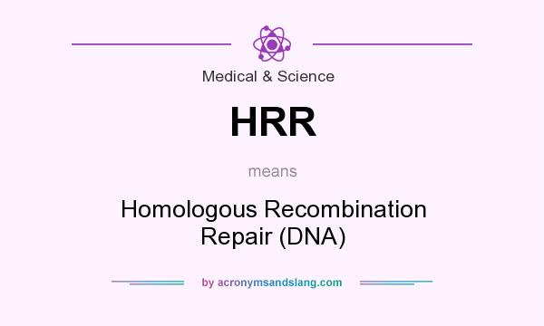 What does HRR mean? It stands for Homologous Recombination Repair (DNA)